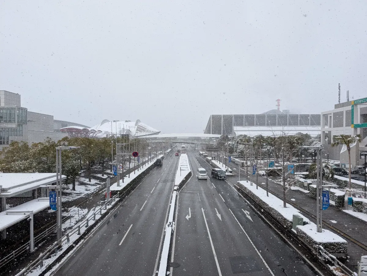 よくこの天気で開催できたね