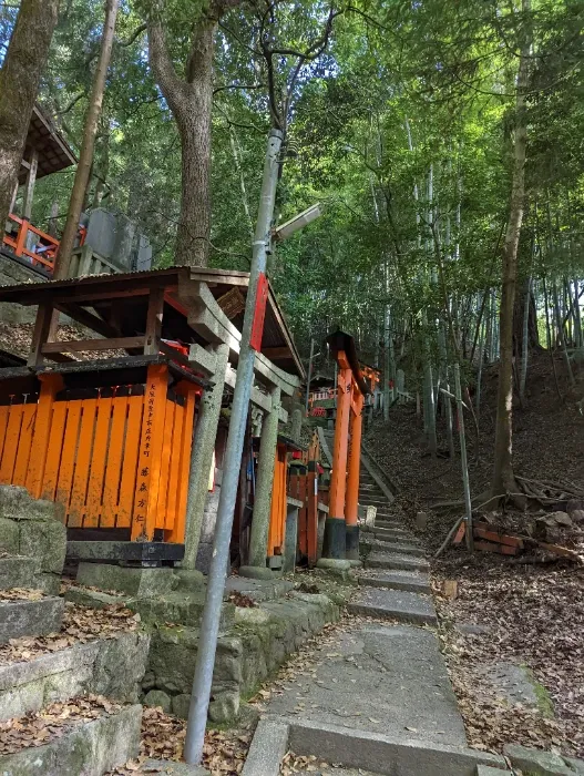 進んでいくと普通に山になっていく（ここは本ルートじゃないけど）