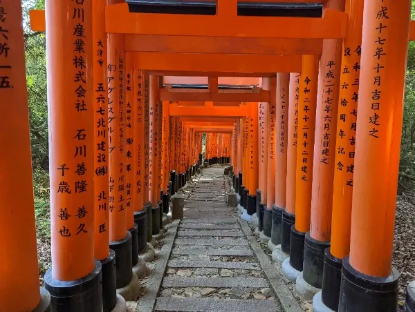 新しい鳥居もある