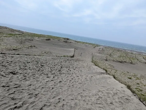ここでトレーニングしろと言わんばかりの地形